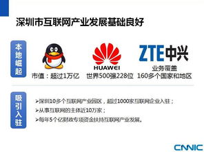 2015深圳市互聯(lián)網(wǎng)發(fā)展?fàn)顩r研究報告