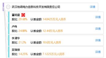 武漢地調(diào)電力信息科技開發(fā)有限責(zé)任公司 信息技術(shù)開發(fā)在電力行業(yè)中的創(chuàng)新與應(yīng)用